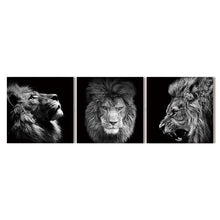Load image into Gallery viewer, Lion Canvas Prints (Set of 3) | Black & White Animal Art | Unframed - Art By The Bay - Canvas Wall Decor Prints