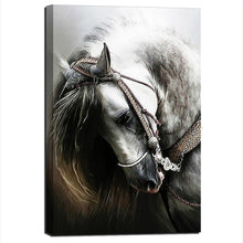 Load image into Gallery viewer, White Horse Canvas Art Print | Beautiful Animal Portrait | Unframed or Framed - Art By The Bay - Canvas Wall Decor Prints
