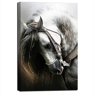 White Horse Canvas Art Print | Beautiful Animal Portrait | Unframed or Framed - Art By The Bay - Canvas Wall Decor Prints