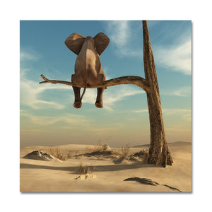 Little Elephant in a Tree Canvas Art Print
