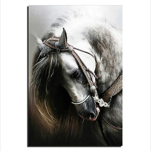 White Horse Canvas Art Print | Beautiful Animal Portrait | Unframed or Framed - Art By The Bay - Canvas Wall Decor Prints