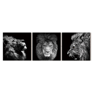 Lion Canvas Prints (Set of 3) | Black & White Animal Art | Unframed - Art By The Bay - Canvas Wall Decor Prints