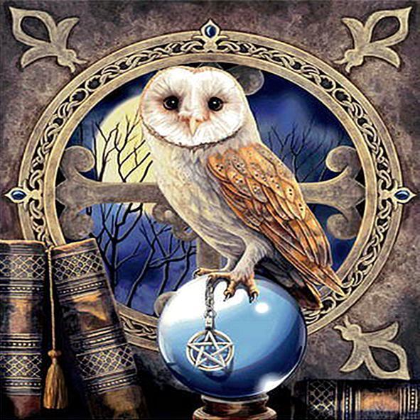 DIY 5D Hedwig Owl Diamond Painting Kit | Harry Potter Character | Square Drill - Art By The Bay - Art & Craft Kits